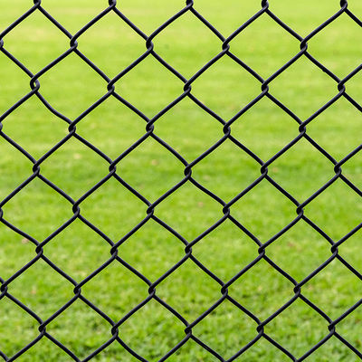 6ft Height Diamond Wire Mesh Fence 50x50mm 9 Guage