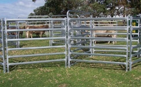 Round Rails Ternak 1.8m Steel Cattle Yard Panels Hot Dipped Galvanized